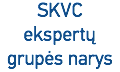 SKVC ekspertų grupės narys
